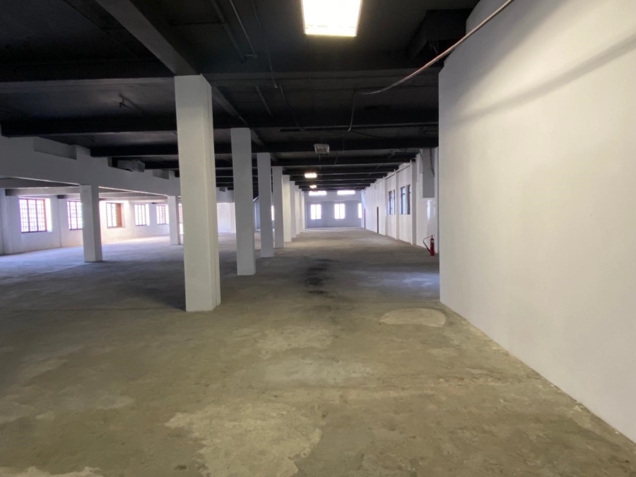 To Let commercial Property for Rent in Cape Town City Centre Western Cape